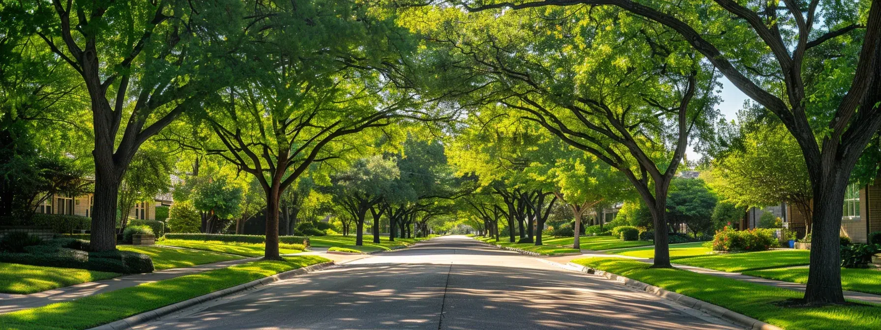 Discovering the Allure of Far North Dallas: A Homebuyer's Haven 1 a peaceful tree-lined street in a charming far north dallas neighborhood.