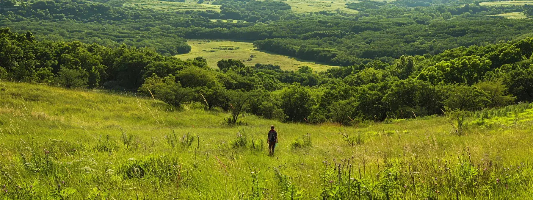 Unveiling Secret Hiking Trails in North Dallas 3 a lone hiker stands in a vast, tranquil meadow surrounded by lush greenery, with white rock lake visible in the distance.